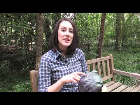 Grapevine, TX | Benefits of Cabbage | Kotsanis Institute