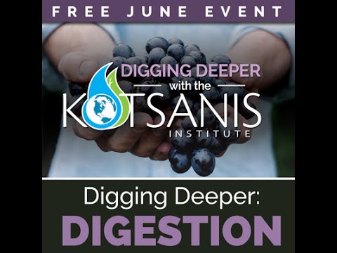 Grapevine, TX | Digging Deeper: Digestion | Kotsanis Institute