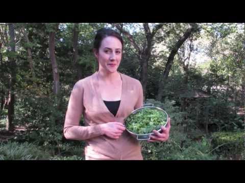 Grapevine, TX | Benefits of Kale | Kotsanis Institute