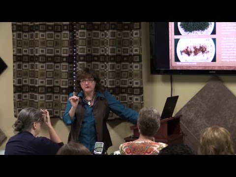 Grapevine, TX | Digging Deeper - Electromagnetic Fields with Sheila Hemphill | Kotsanis Institute