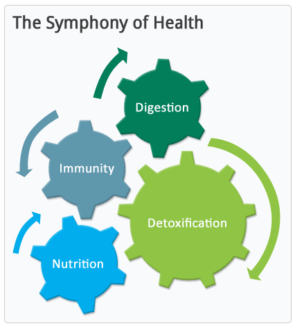 Symphony of Health
