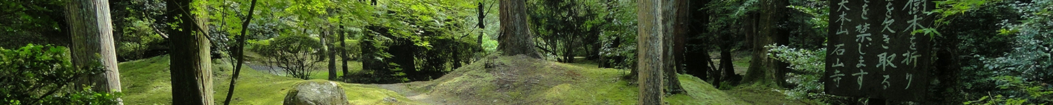 Banner_1_Club_forest1500